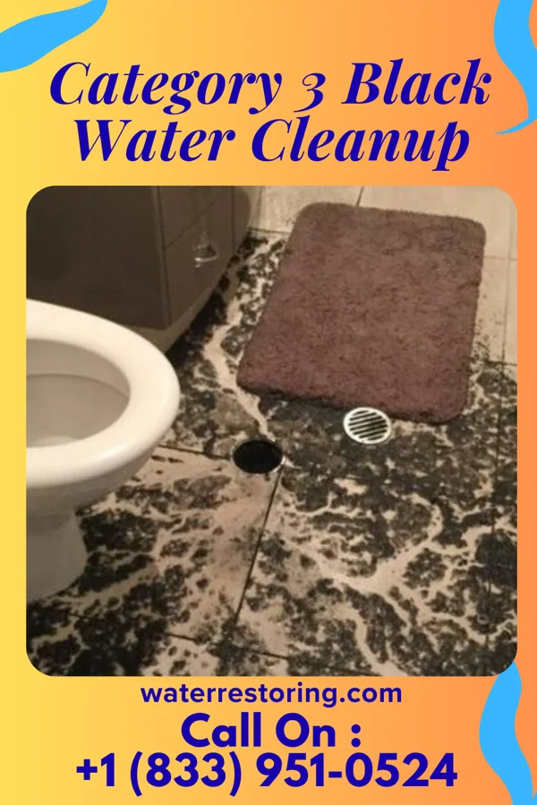 Category 3 Black Water Cleanup in Villa Grove, IL