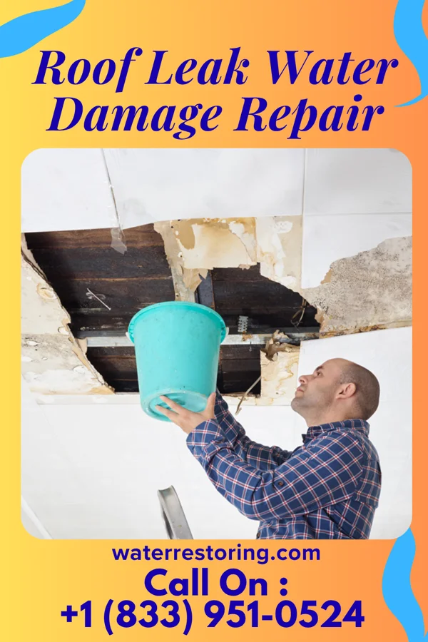 Roof Leak Water Damage Repair in Villa Grove, IL